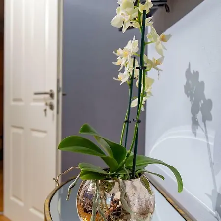 Weingut Gerd Muellers 크로프