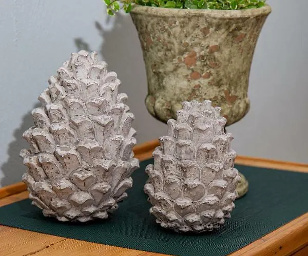 Pensjonat Weingut Gerd Muellers Kröv