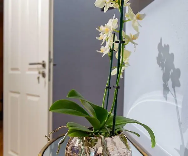 Weingut Gerd Muellers Kröv